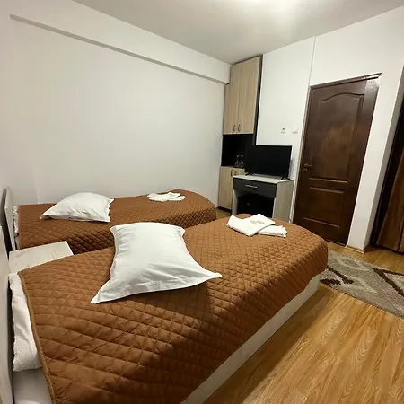 Casa Rustic Piteszti